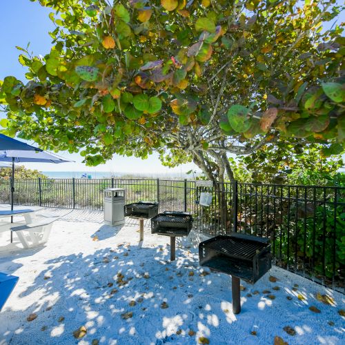 The image shows an outdoor picnic area with picnic tables, umbrellas, and barbecue grills under a large tree with green and brown leaves.