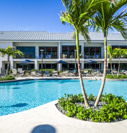 An outdoor pool area with a curved shape, surrounded by palm trees, lounge chairs, and a modern building in the background under a clear blue sky.